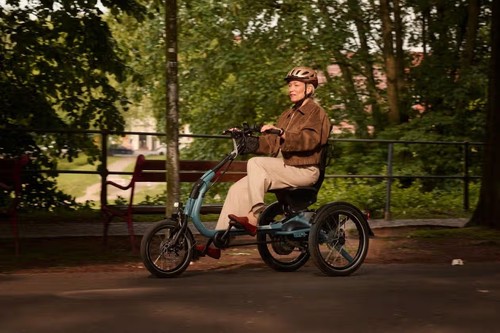 Van Raam Easy Rider Compact Therapiedreirad mit Silent-Motor, grau matt – Bild 2