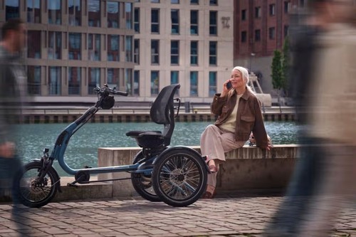 Van Raam Easy Rider Compact Therapiedreirad mit Silent-Motor, grau matt – Bild 3
