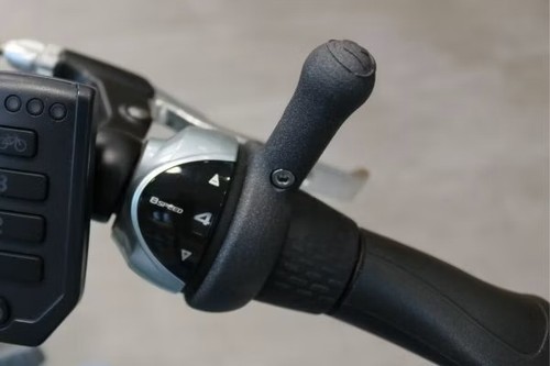 Leichtes Schalten - Schalthilfe 7 und 8 Gang Nabenschaltung - E-Bikes, Dreirad, Van Raam – Bild 2