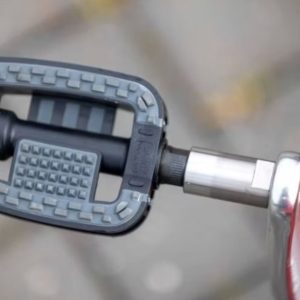 Pedalachsverbreitung